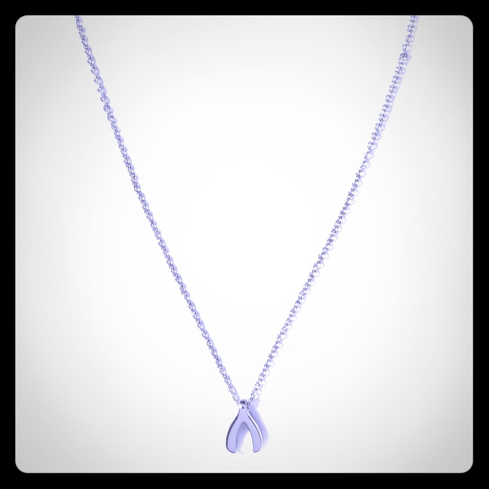 Banana Republic Wishbone Necklace